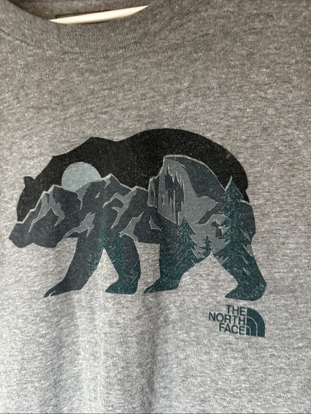 The North Face Men's Gray Graphic Bear T-Shirt size XXL